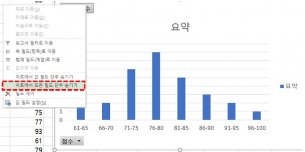 피벗차트 단추 숨기기