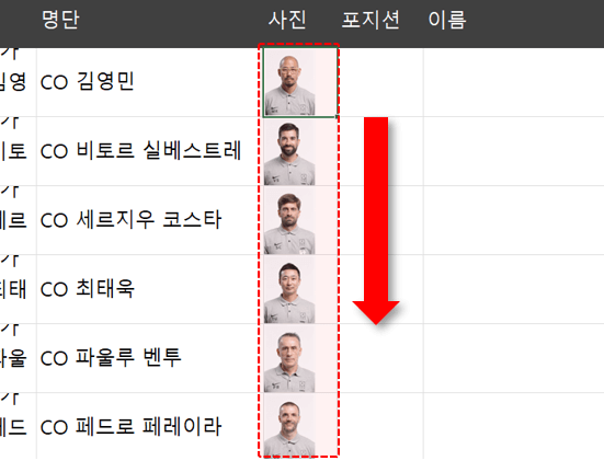 엑셀 그림 한 번에 넣기